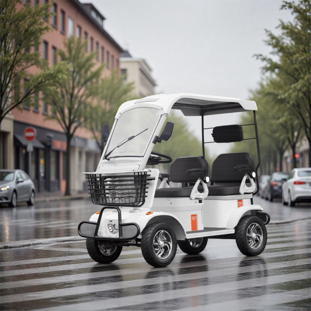 Eeeza E60 Electric Mobility Scooter with Long-Range, 650W 60V 20Ah