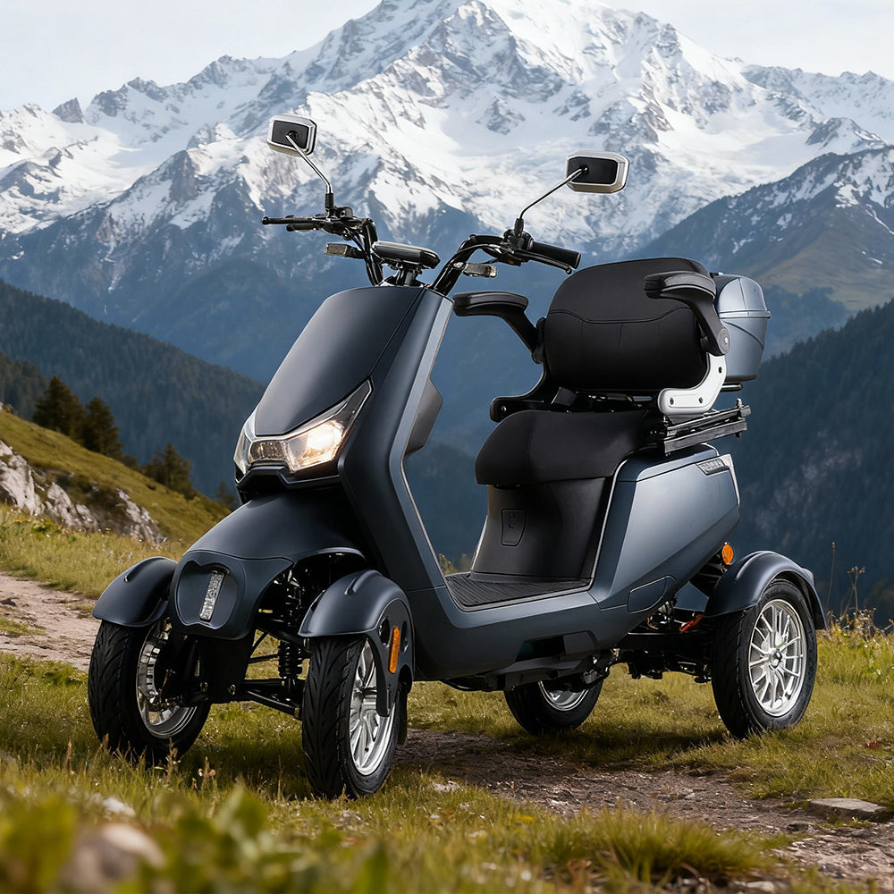 Jemeela SN4L Adjustable Electric Mobility Scooter, 800W 60V 20Ah