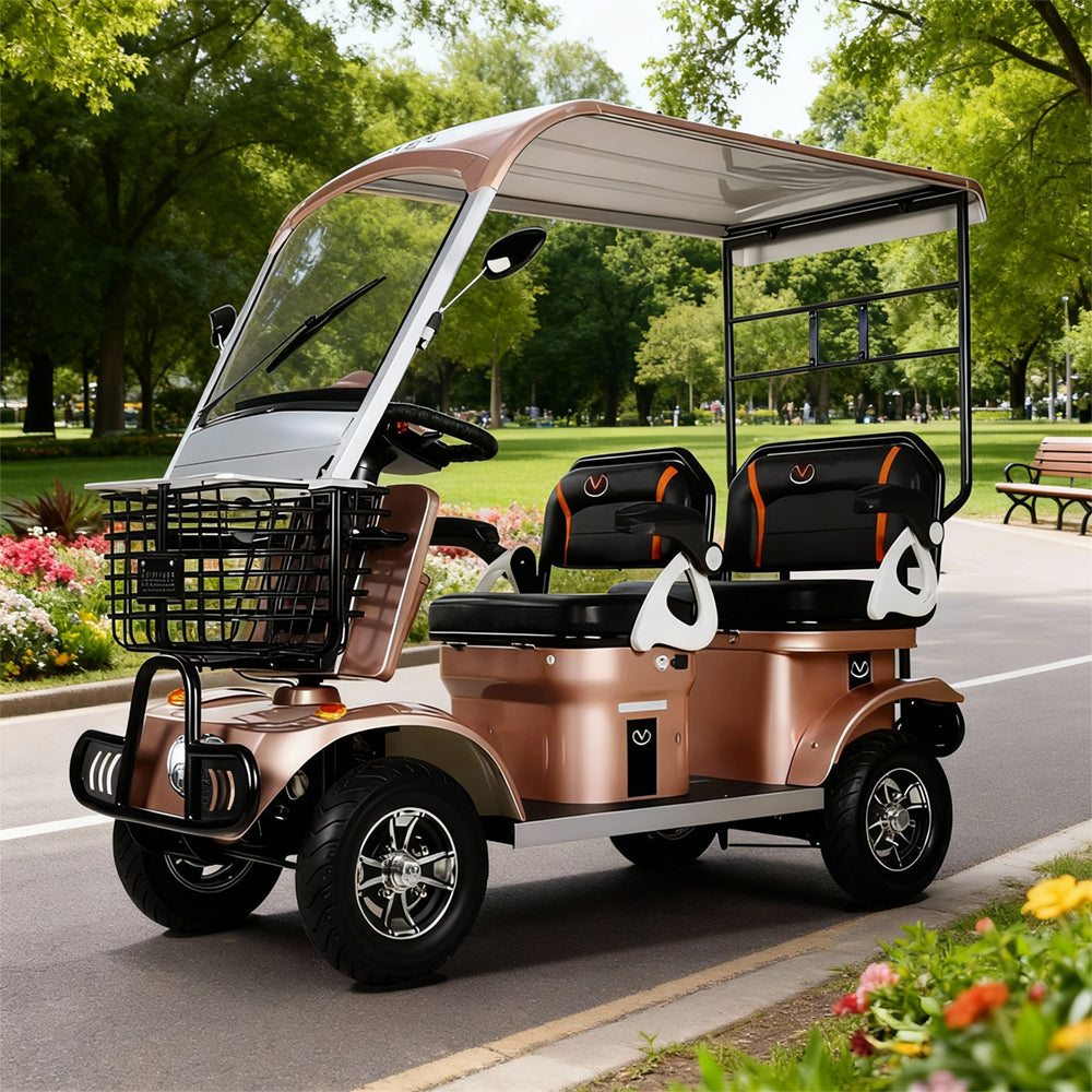 Jemeela E60 Electric Mobility Scooter with Long-Range, 650W 60V 20Ah