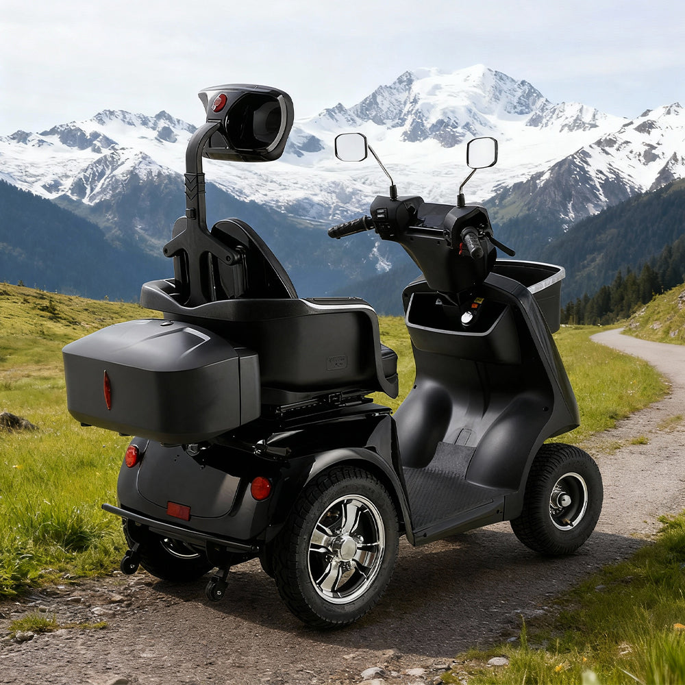Eeeza JXY4D Adjustable Electric Mobility Scooter, 800W 60V 20Ah