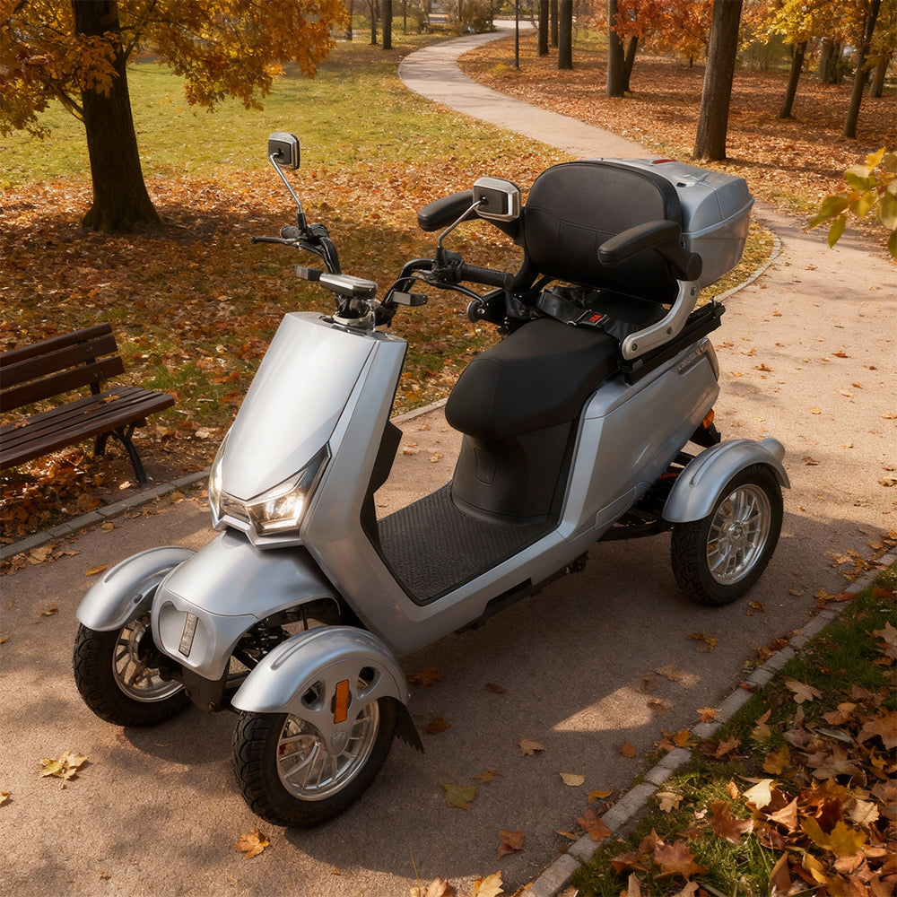 Jemeela SN4L Adjustable Electric Mobility Scooter, 800W 60V 20Ah