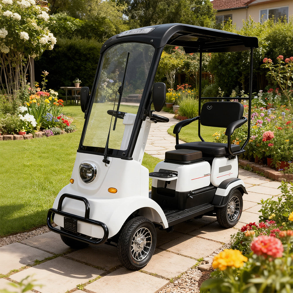 Jemeela M3 Electric Mobility Scooter, 650W 60V 20Ah