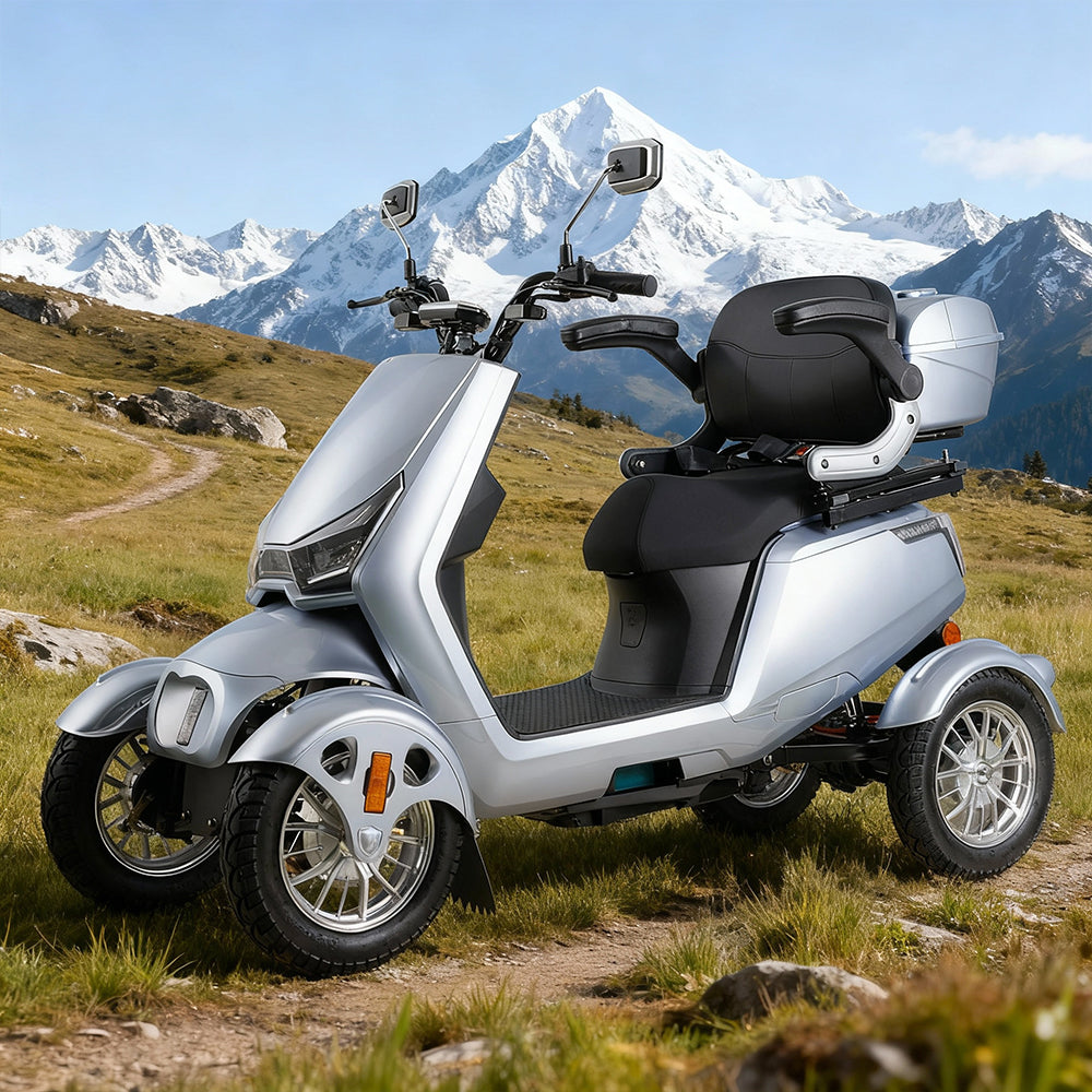 Jemeela SN4L Adjustable Electric Mobility Scooter, 800W 60V 20Ah