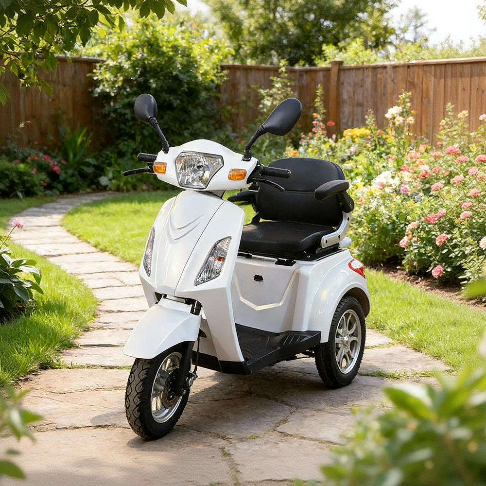 Jemeela F10 Electric Tricycle, 500W 60V 20Ah, Max Range 60km, 25km/h