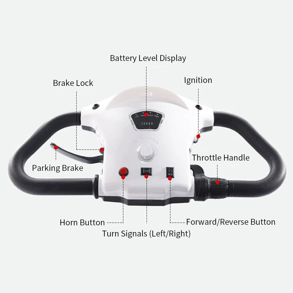 Eeeza 650W 60V 20Ah Electric Mobility Scooter