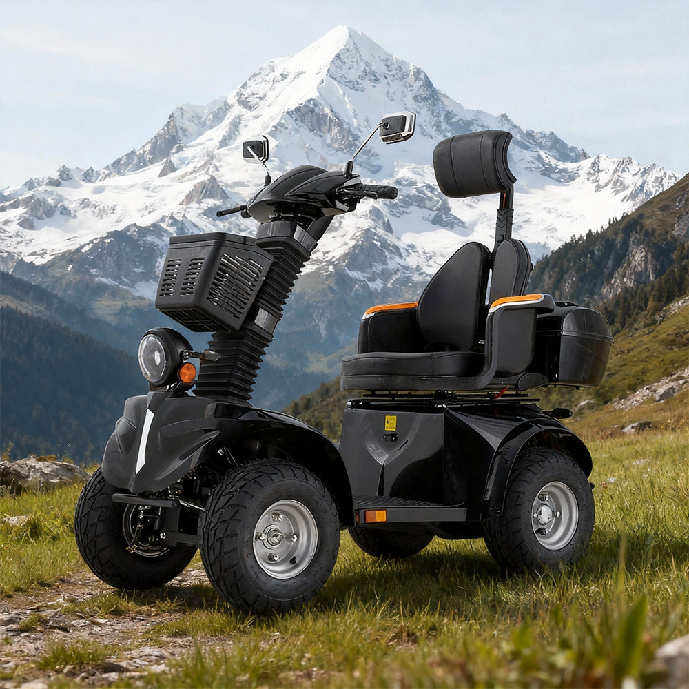 Jemeela DJD Adjustable Electric Mobility Scooter, 1000W 60V 20Ah