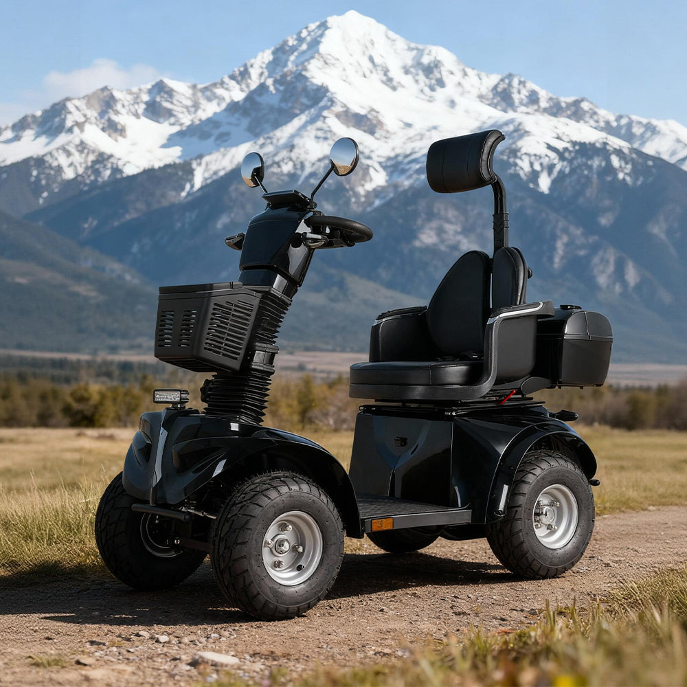 Jemeela DJD2D Foldable Electric Mobility Scooter, 1000W 60V 20Ah