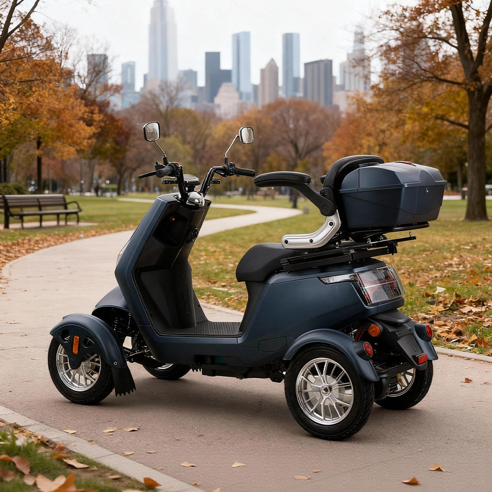 Jemeela SN4L Adjustable Electric Mobility Scooter, 800W 60V 20Ah