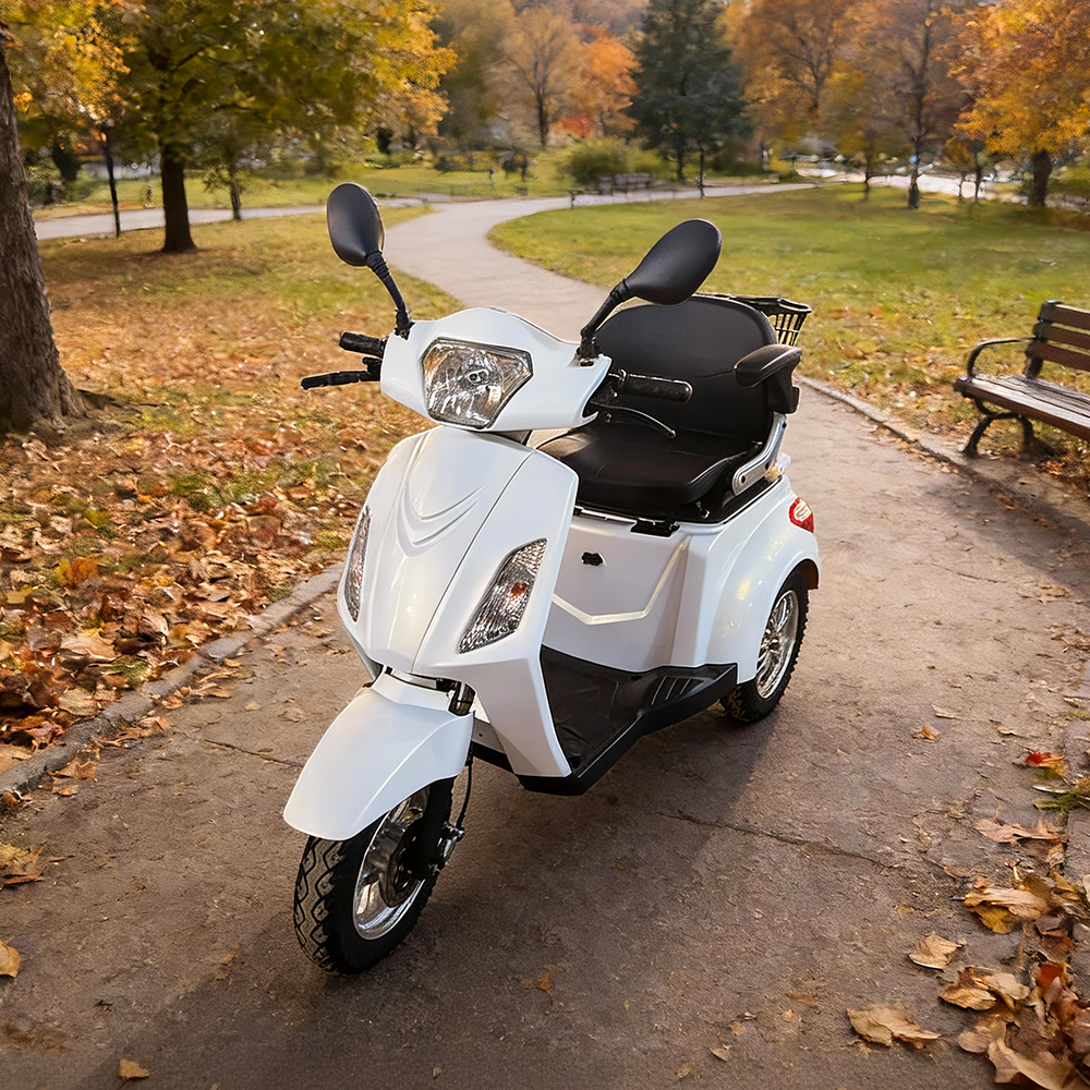 Jemeela F10 Electric Tricycle, 500W 60V 20Ah, Max Range 60km, 25km/h