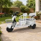 Eeeza C6 Electric Mobility Scooter, Max Range 35km, 800W 60V 32Ah