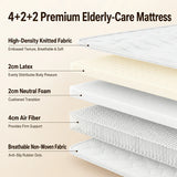 Jemeela Electric Adjustable Home Care Bed with Safety Rails
