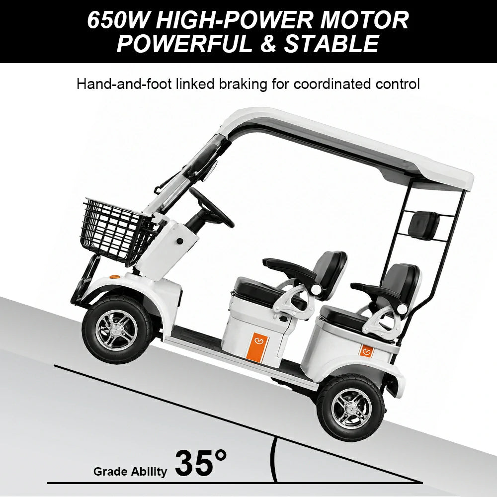 Jemeela E60 Electric Mobility Scooter with Long-Range, 650W 60V 20Ah