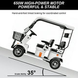 Jemeela E60 Electric Mobility Scooter with Long-Range, 650W 60V 20Ah
