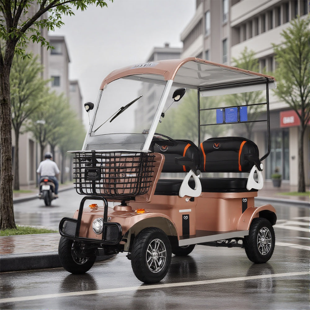 Eeeza E60 Electric Mobility Scooter with Long-Range, 650W 60V 20Ah