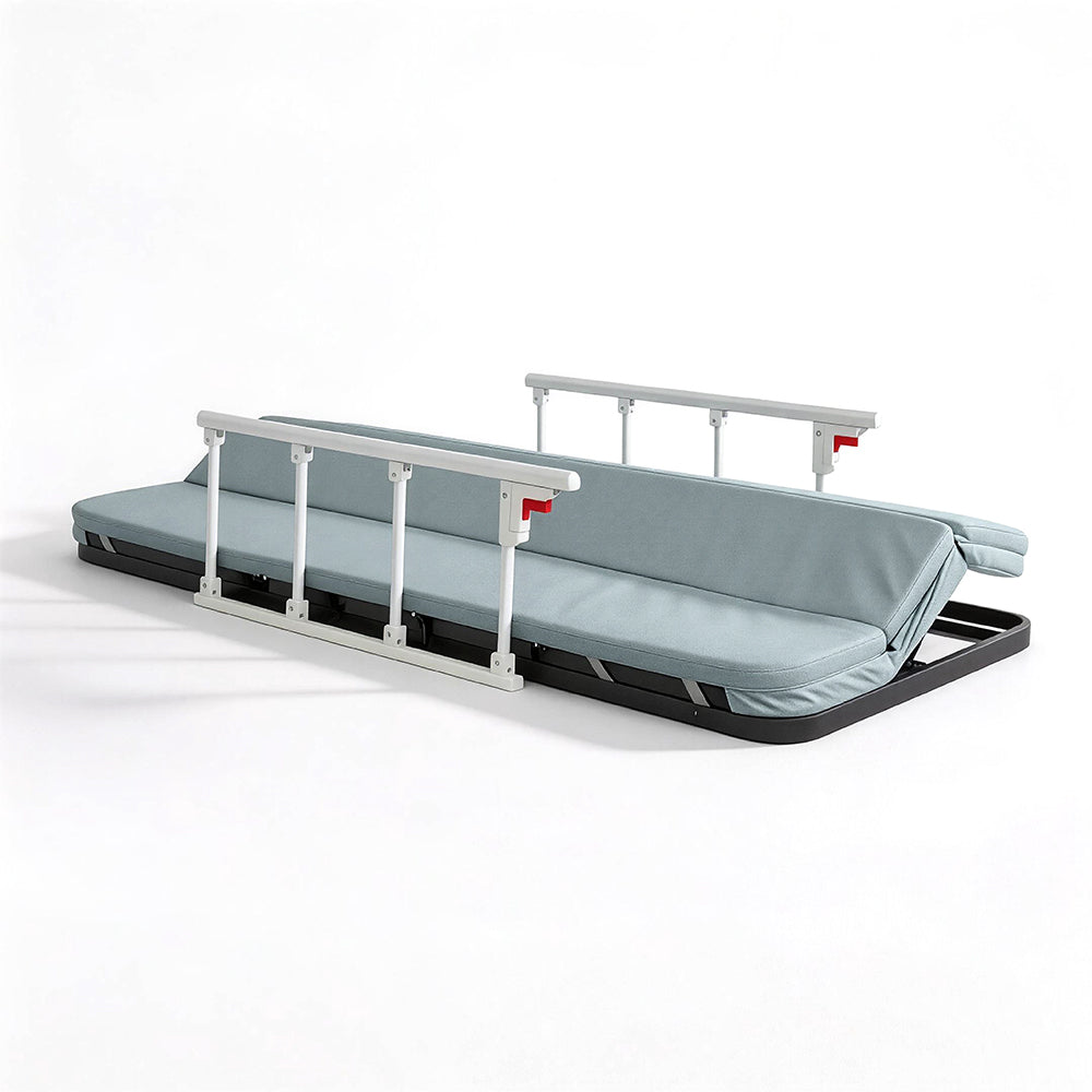 Eeeza Four-function Back Lift Device