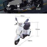 Jemeela F10 Electric Tricycle, 500W 60V 20Ah