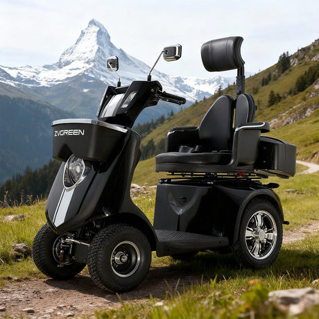 Eeeza JXY4D Adjustable Electric Mobility Scooter,  800W 60V 20Ah
