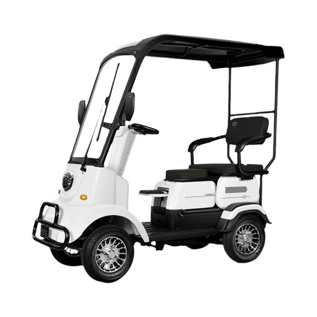 Eeeza M3 Electric Mobility Scooter,  650W 60V 20Ah