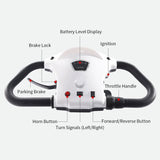 Eeeza 650W 60V 20Ah Electric Mobility Scooter with Foldable Child Seat & Adjustable Rear Bench