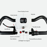 Eeeza 650W 60V 20Ah Electric Mobility Scooter