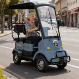 Eeeza 650W 60V 20Ah Electric Mobility Scooter