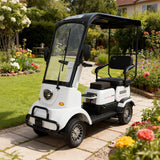 Eeeza 650W 60V 20Ah Electric Mobility Scooter