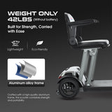 METRO MOBILITY Foldable Scooter 250W 24V 12/20Ah