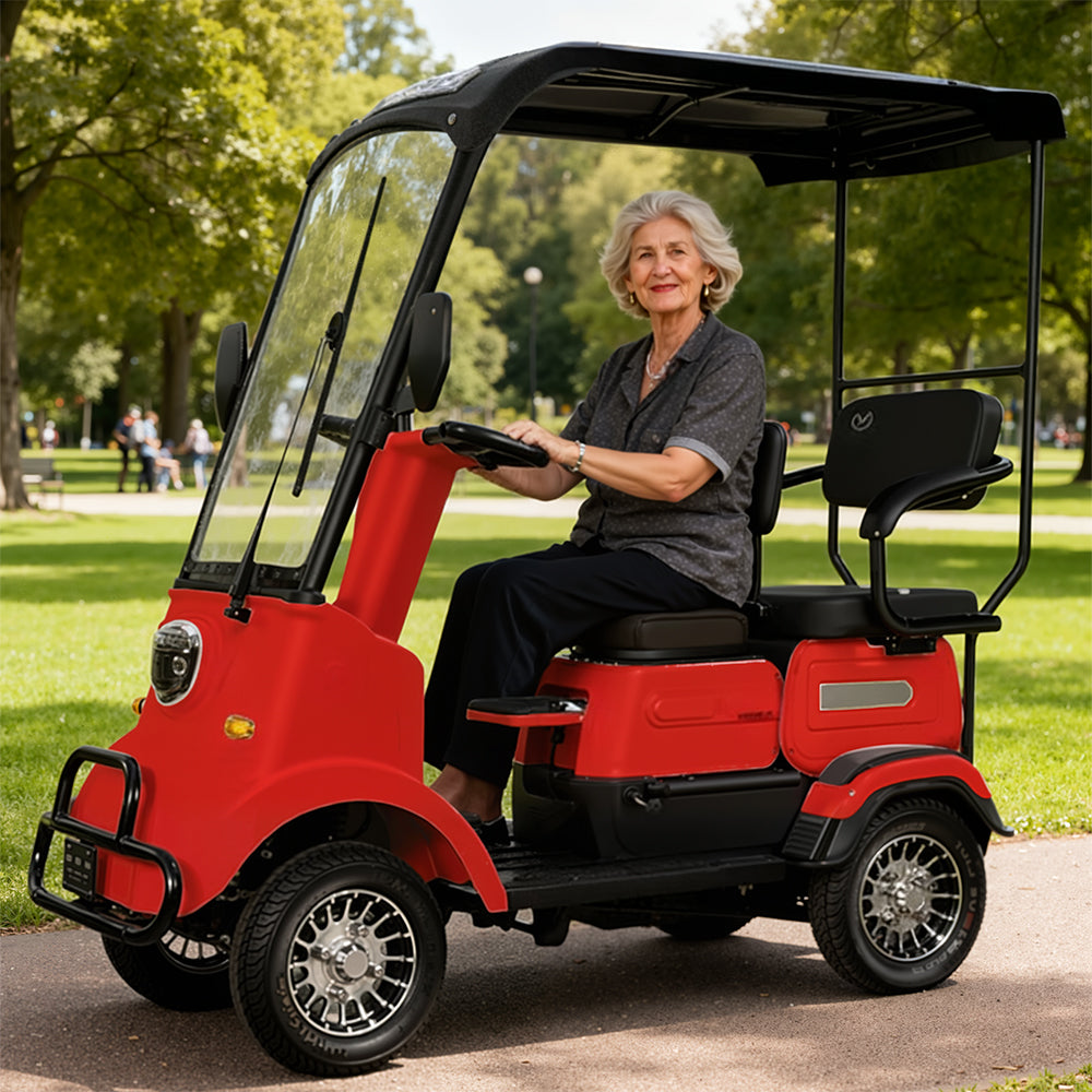 Jemeela M3 Electric Mobility Scooter,  650W 60V 20Ah