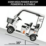 Jemeela E60 Electric Mobility Scooter with Long-Range, 1000W 60V 20Ah