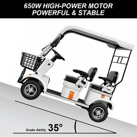 Jemeela E60 Electric Mobility Scooter with Long-Range, 1000W 60V 20Ah