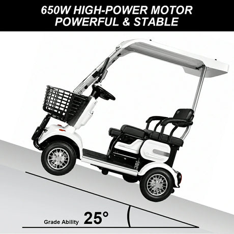 Jemeela E30 Electric Mobility Scooter, 1000W 60V 20Ah