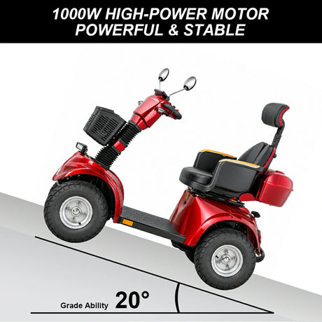 Jemeela DJD2D Foldable Electric Mobility Scooter, 1000W 60V 20Ah